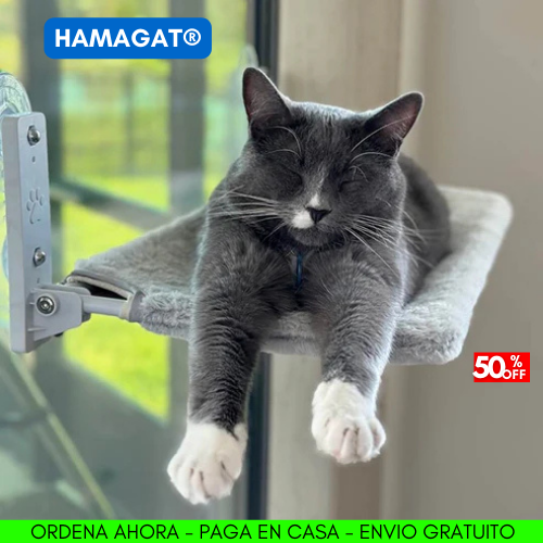 HAMACA PARA GATOS